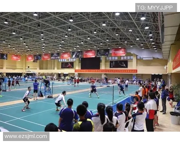 杭州羽毛球队实力分析与发展潜力的深度探讨与展望 杭州羽毛球队实力分析与发展潜力的深度探讨与展望