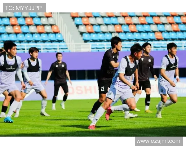 杭州足球队耐力表现数据分析揭示运动员体能训练效果与比赛策略的关系 杭州足球队耐力表现数据分析揭示运动员体能训练效果与比赛策略的关系